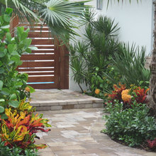 India house garden