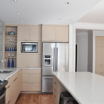 Modern Minimalist Kitchen