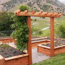 veggie container planter