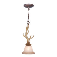 Lighting-Pendant