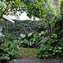 rear garden for casita use