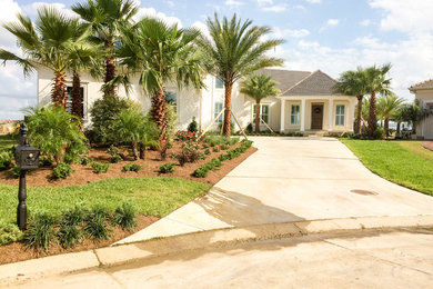 This is an example of a large tropical front yard full sun driveway in New Orleans with mulch.