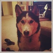 Evaren Page's photo