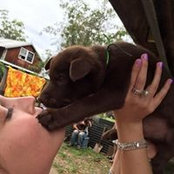 Amy Winstanley's photo