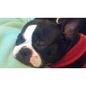 Jean Vallee's photo