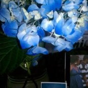 Susan Gholston's photo