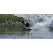 Edward O'Keefe's photo