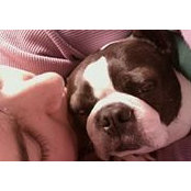 Lisa Howze's photo