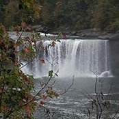 Arielle Whitaker's photo