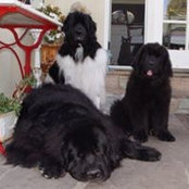 Dorothy Apple's photo