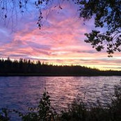 Susan Simpson's photo