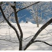 Richard Birkby's photo