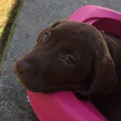Renee Barteski's photo