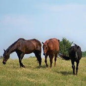 Gina Dailey's photo