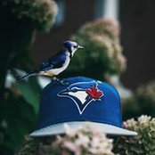 Sean Reibeling's photo