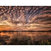 Jack Moore's photo