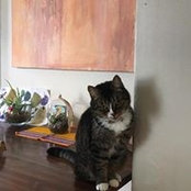 Maddy Rays foto
