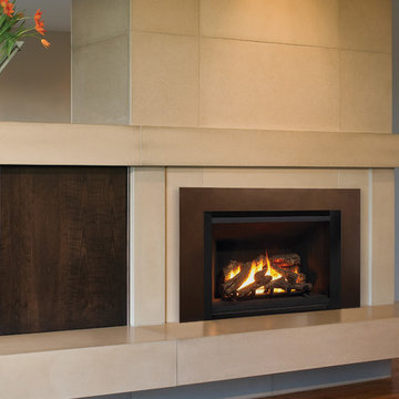 Gas Fireplace Insert