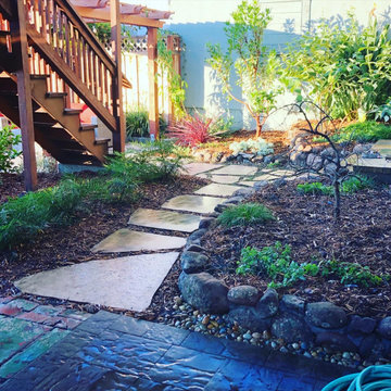 Backyard Remodel