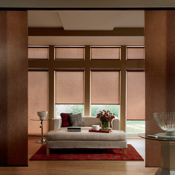 DESIGNER ROLLER SHADES
