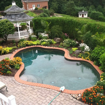 Annuals / Focal bed planting