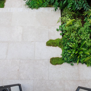 From Above