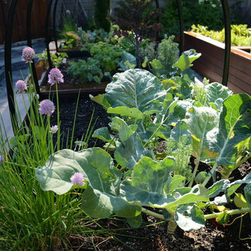 Raised Vegetable / Ornamental Garden 2015