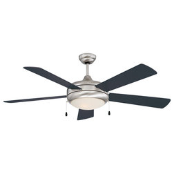 Transitional Ceiling Fans by LIGHTING JUNGLE