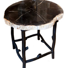 Petrified Wood