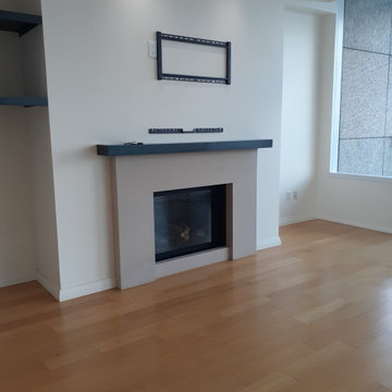 Bellevue - High Rise Condo Renovation