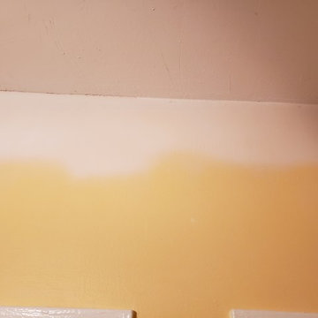 Wilikie Re texture and skim coat