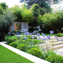 Yard ideas