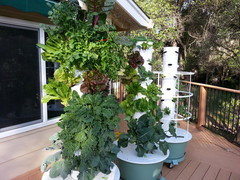 Vertical gardening