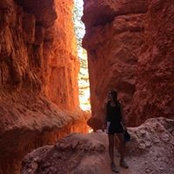 Emilia Carrera's photo