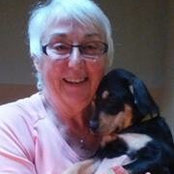Cheryl Whytock's photo