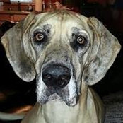 Sandy Frederick Scribner's photo