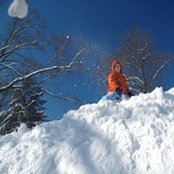 Megan Kucik's photo
