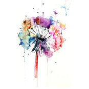 Kaci McKeown Doane's photo