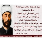 Ali Mansour's photo