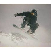 Marcus Mcguills foto