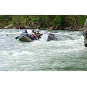 Bill Adams's photo