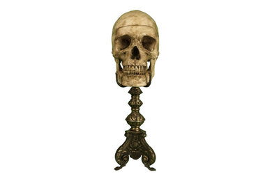 Estudio de cráneo humano sobre pedestal barroco