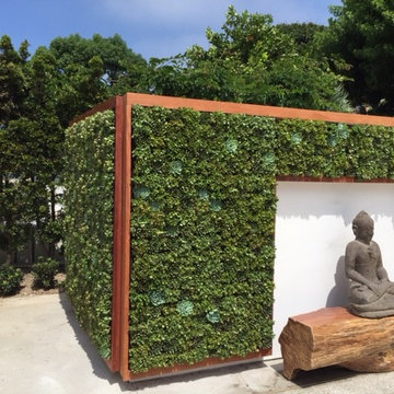 Project Gallery