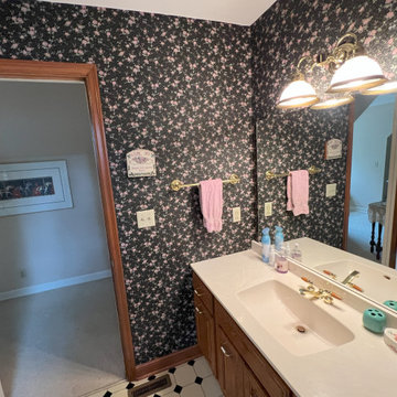Highland Park Saint Paul bathroom update