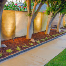 front yard fence area