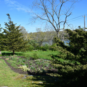 Plant a Native plant garden