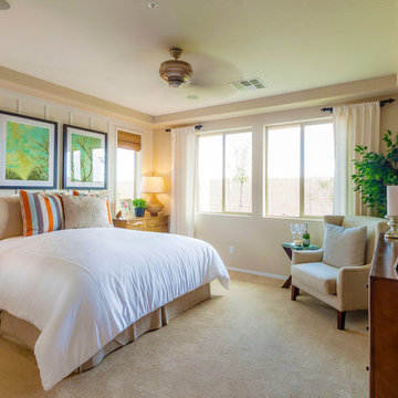 Intrigue @ Marbella Vineyards | Gilbert, AZ | 4092 - Captivate Plan