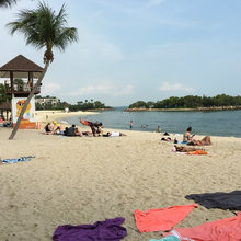 Beach Houses.