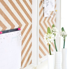 organization