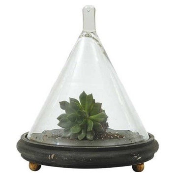 Glass Cloche With Round Wooden Base